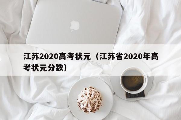 江苏2020高考状元（江苏省2020年高考状元分数）